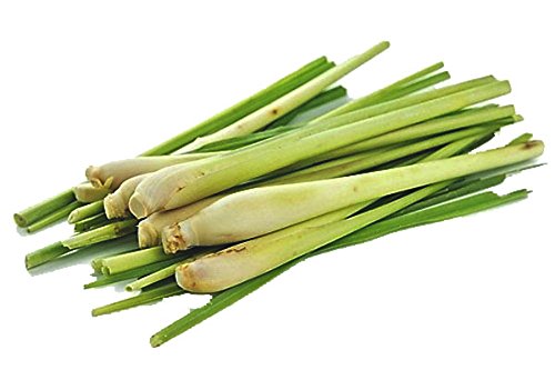 Fresh Lemon Grass